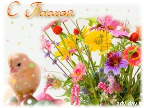card07-500x375